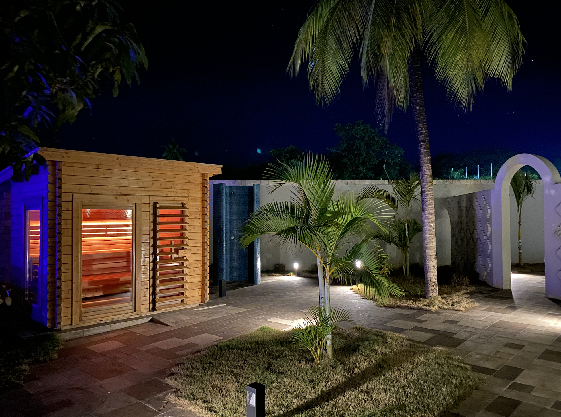 Night view of a backyard with palm trees, a wooden shed, and garden lights illuminating the area.
