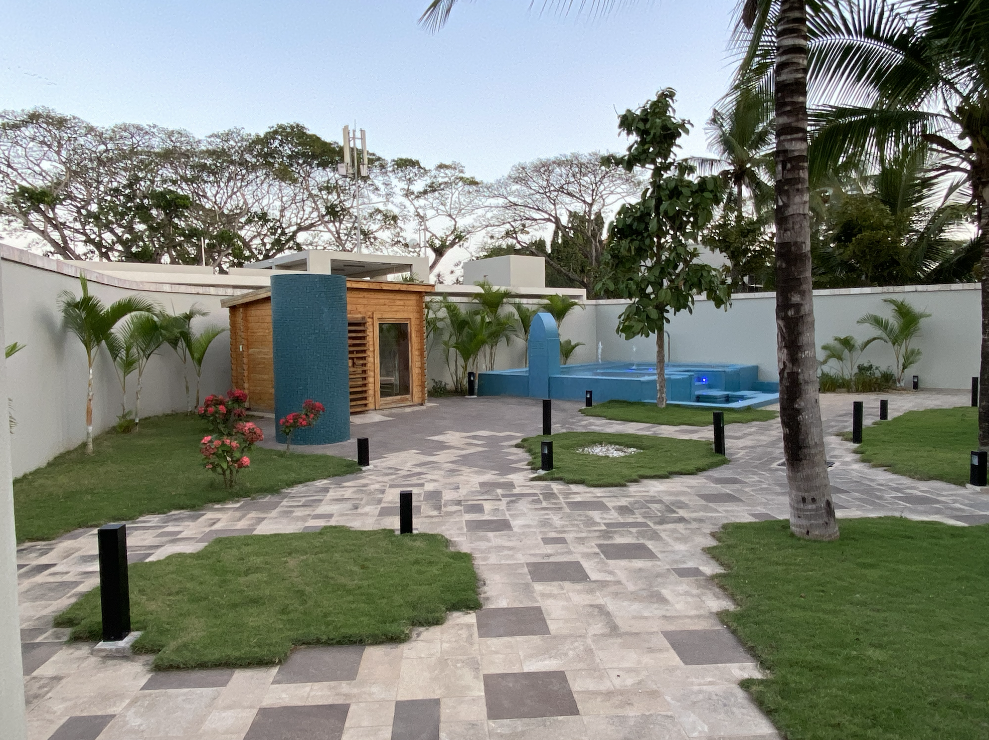 A backyard with a paved walkway, grass patches, palm trees, and a pool with a small wooden structure. Tall trees are visible in the background.