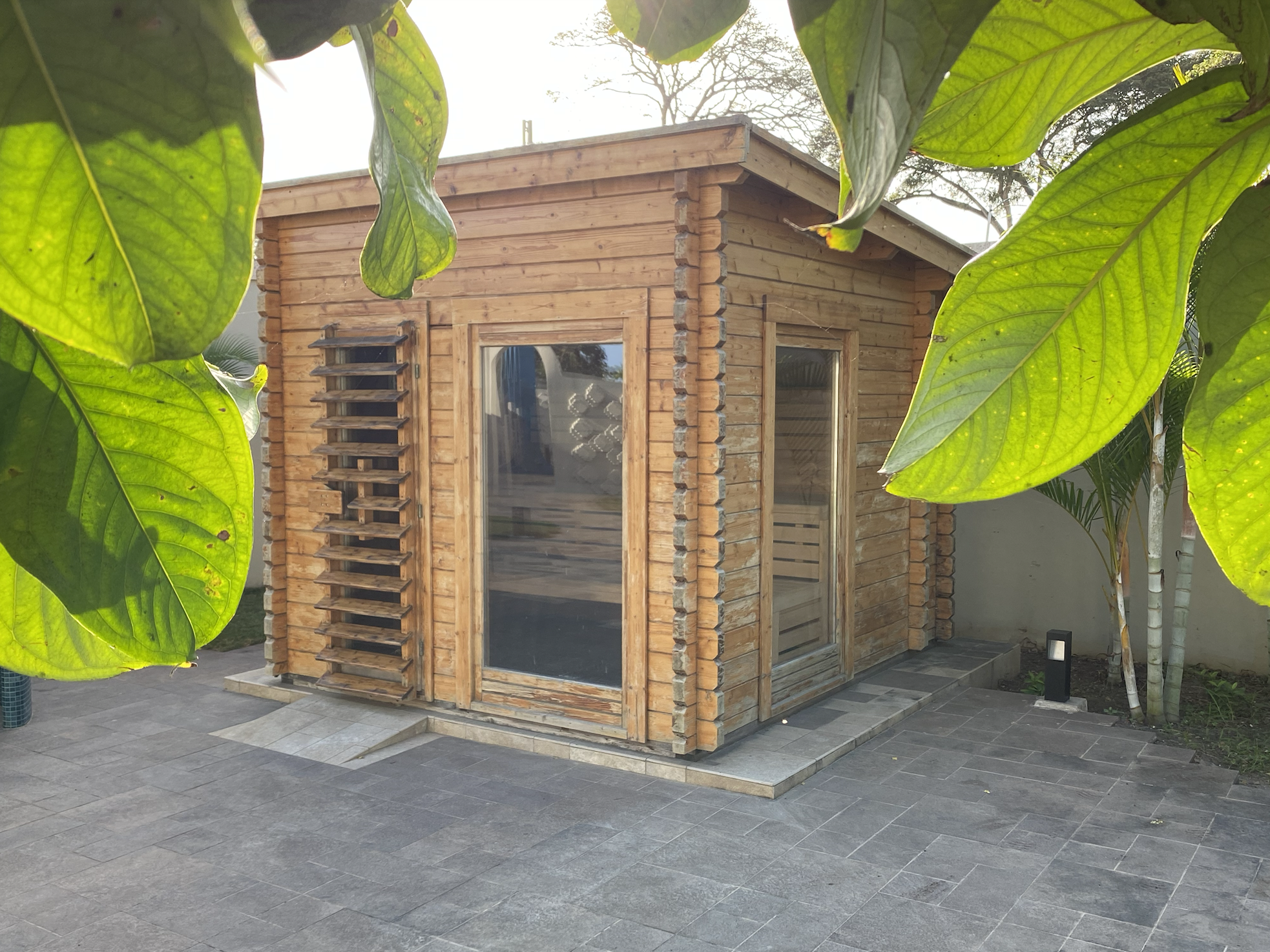 A small wooden shed with large windows, surrounded by green leaves, on a tiled patio.