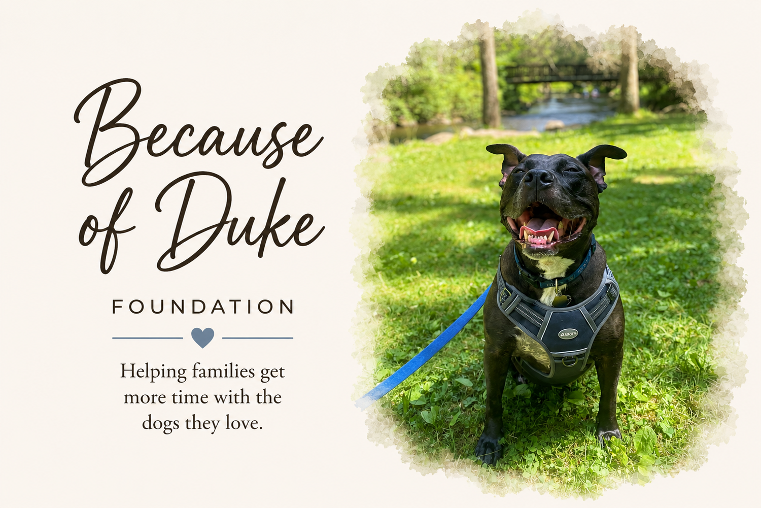 Because of Duke Foundation