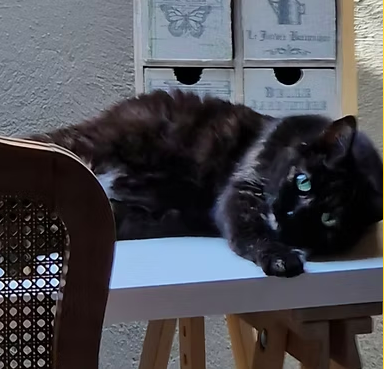 Margot