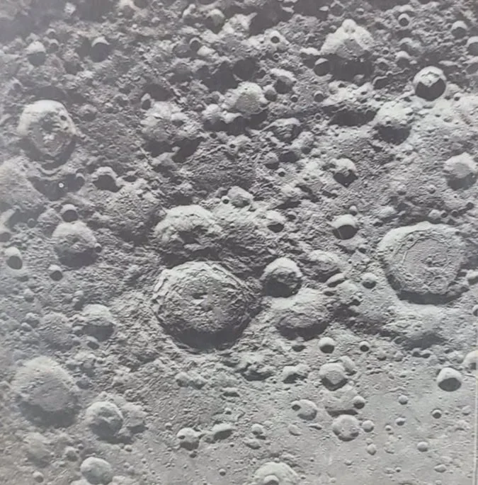 767222376_3478702598974122_3326619145358409659_n.jpg