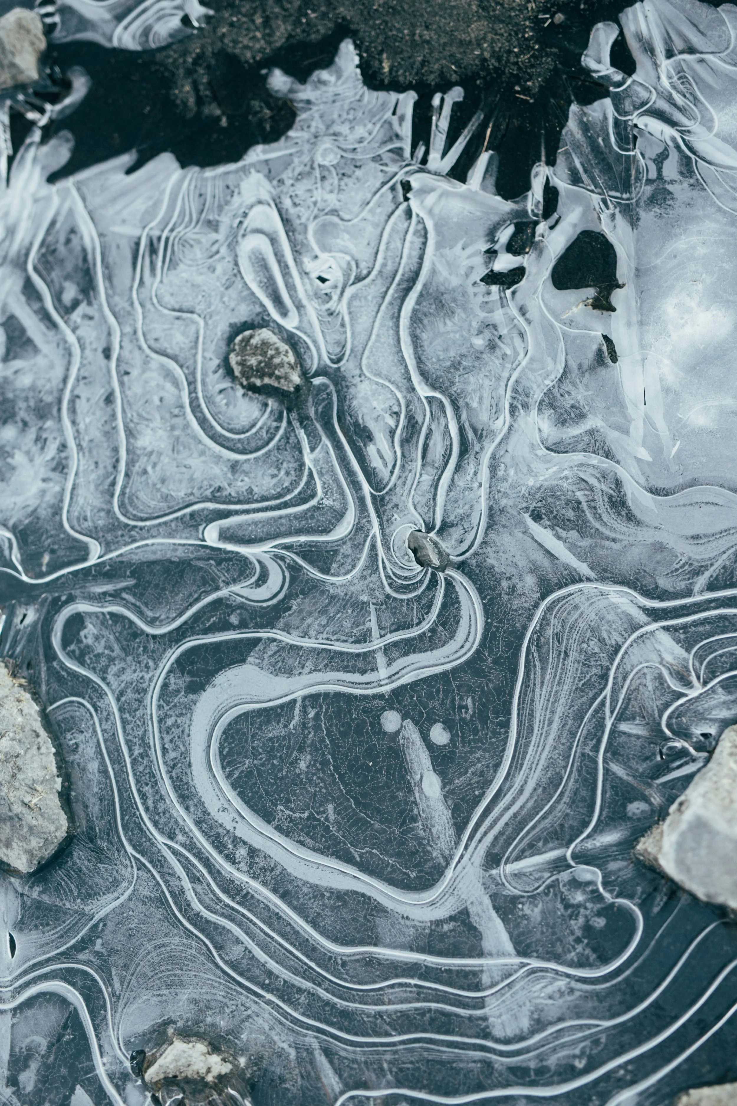 Close-up of a frozen water surface with intricate white and black ice patterns and some rocks on the edges.