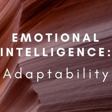 Adaptability: Cultivating Resilience in and Beyond 2020
