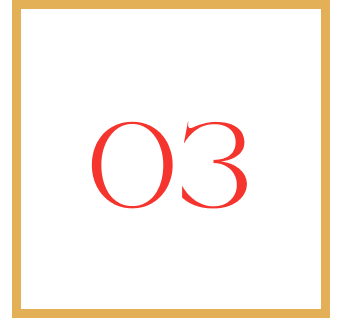 Number '03' in red on a black background with a gold border