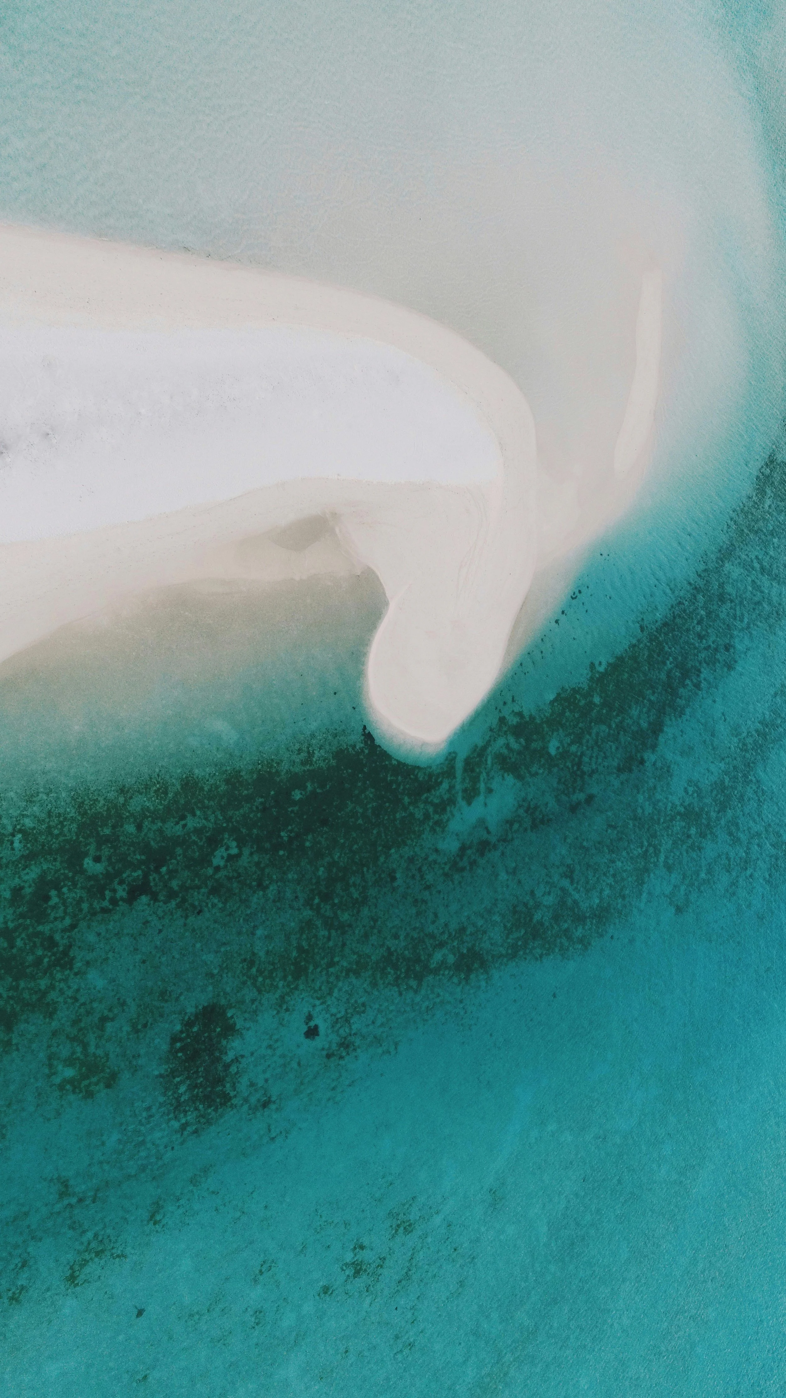 A close-up aerial view of a white sandy beach meeting turquoise ocean waters, with a single person lying on the beach.