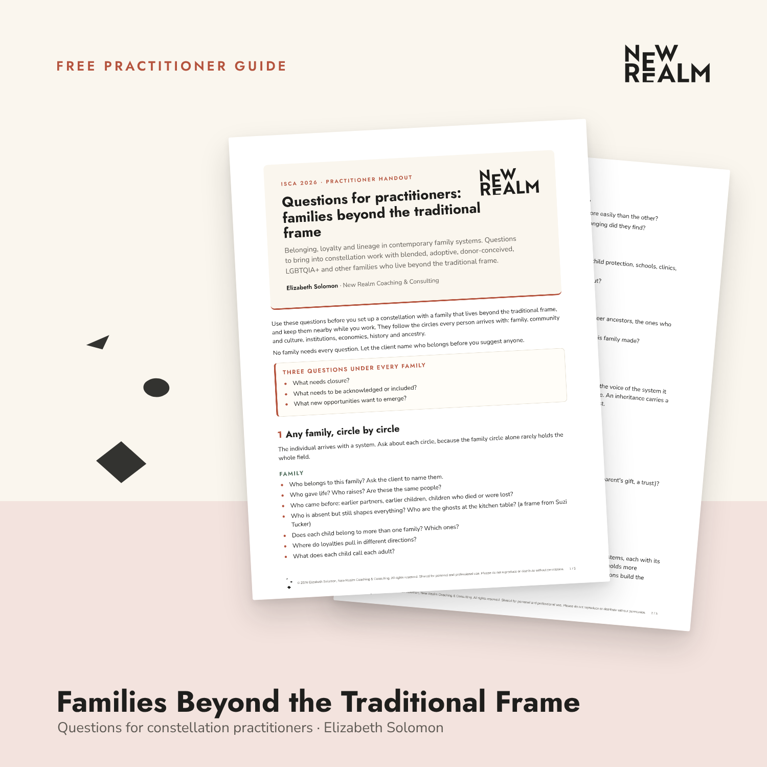 Families Beyond the Traditional Frame: A Constellation Practitioner’s Guide from New Realm