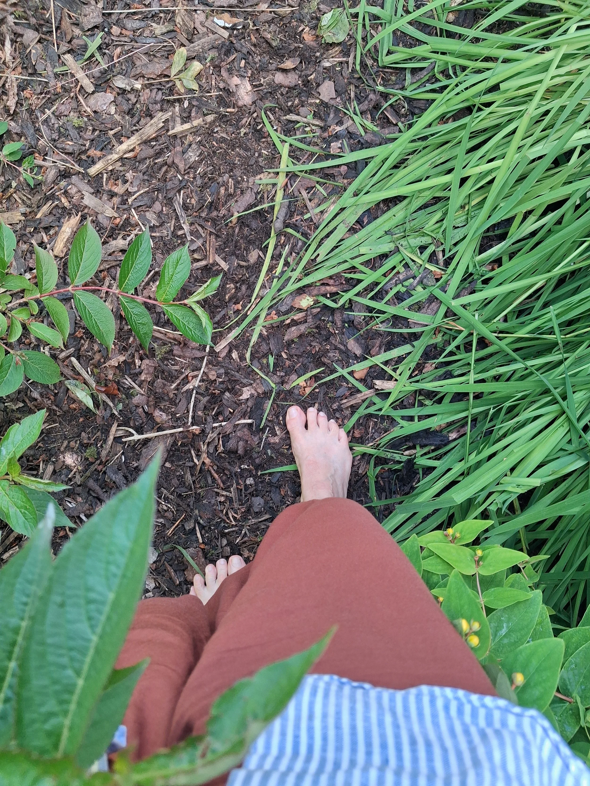 Barefoot walking among plants and grass during late summer in Scotland.