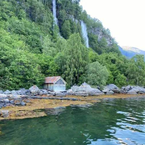 Utendørs vannfall med skog og vann ved stranden