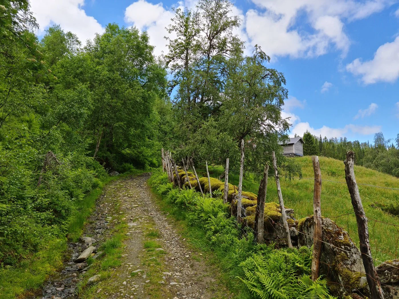 Postvegen i Vestland
