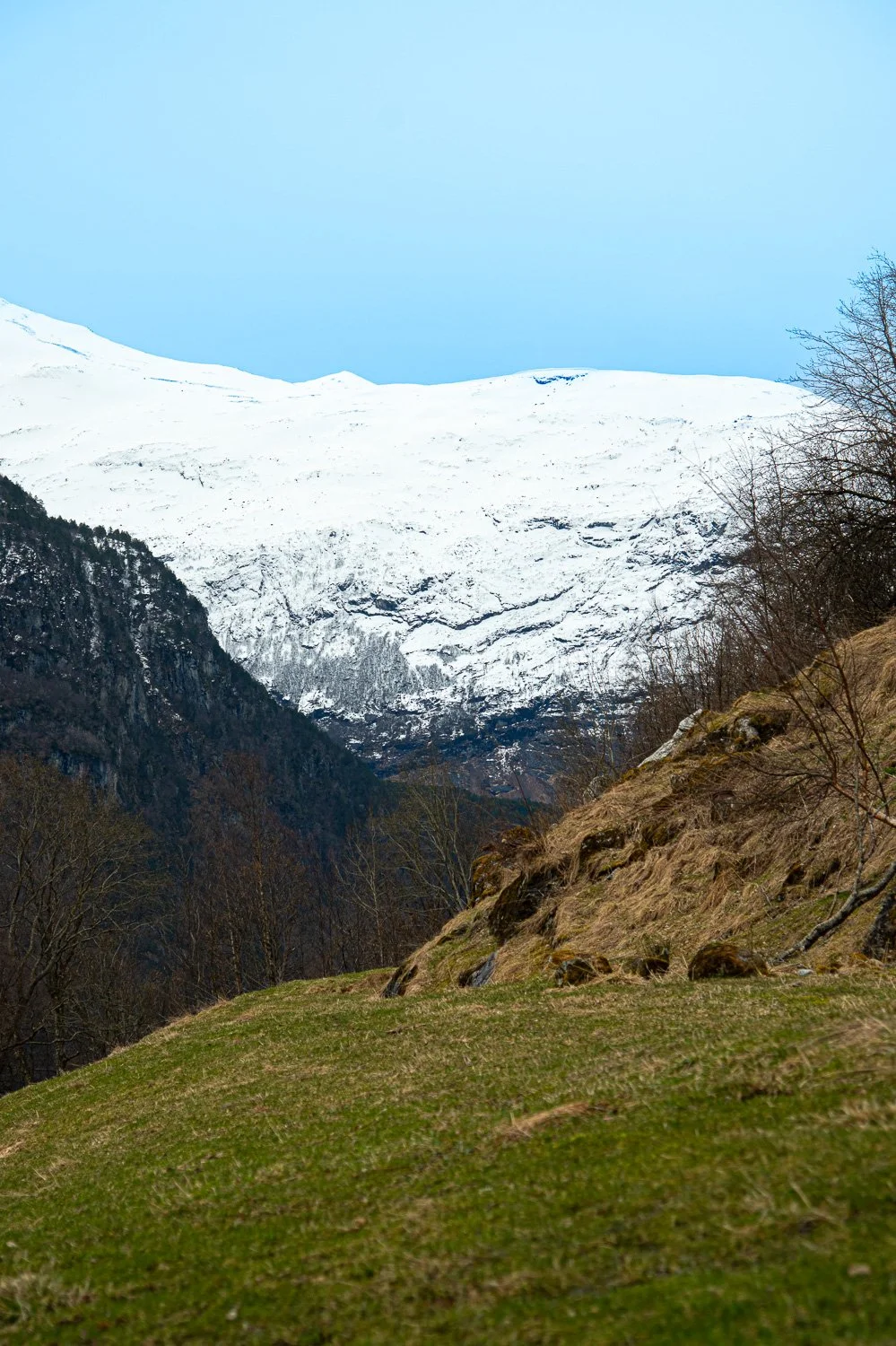Foto: Ririko Sugi
