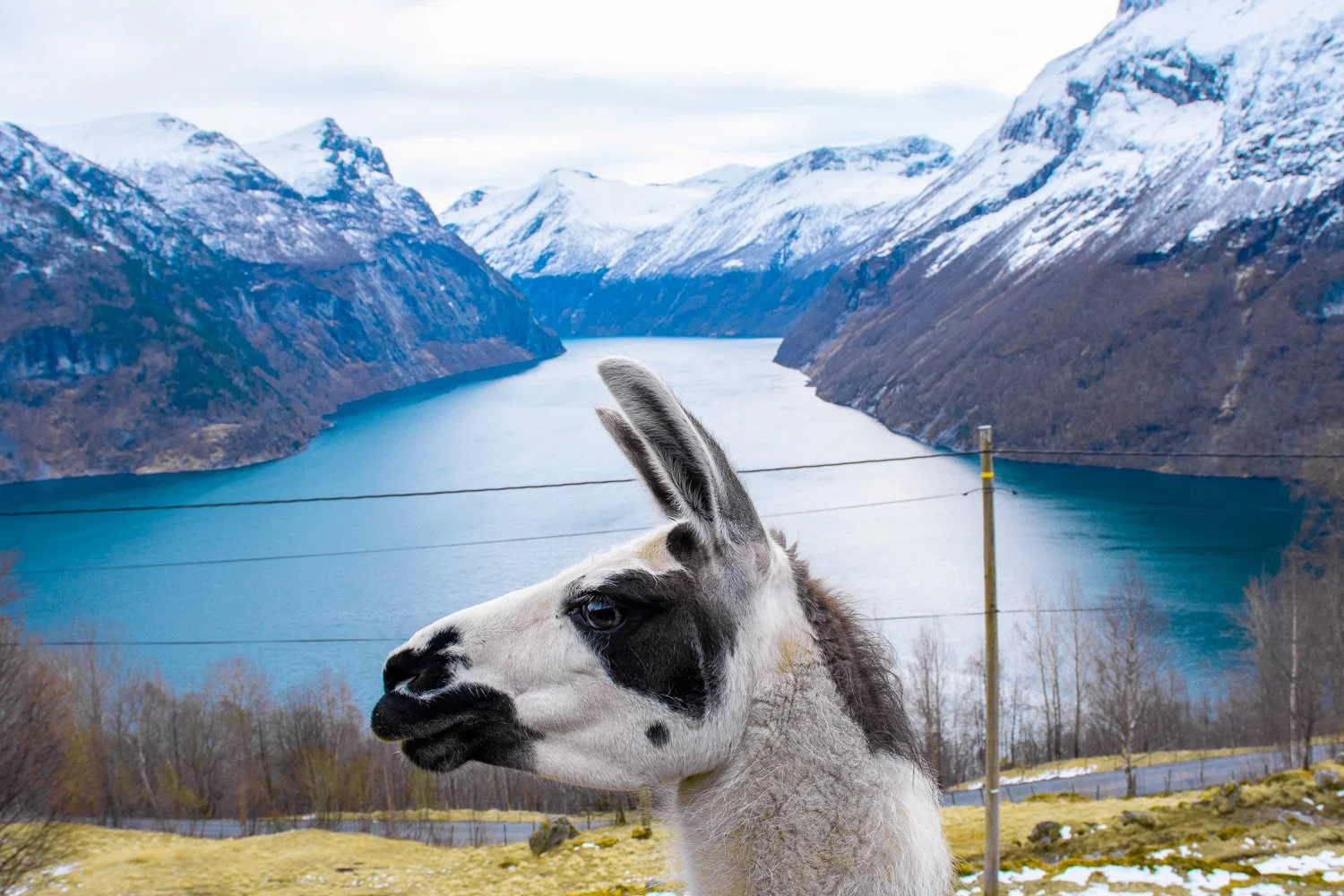 Foto: Tale Rørvik Lejon