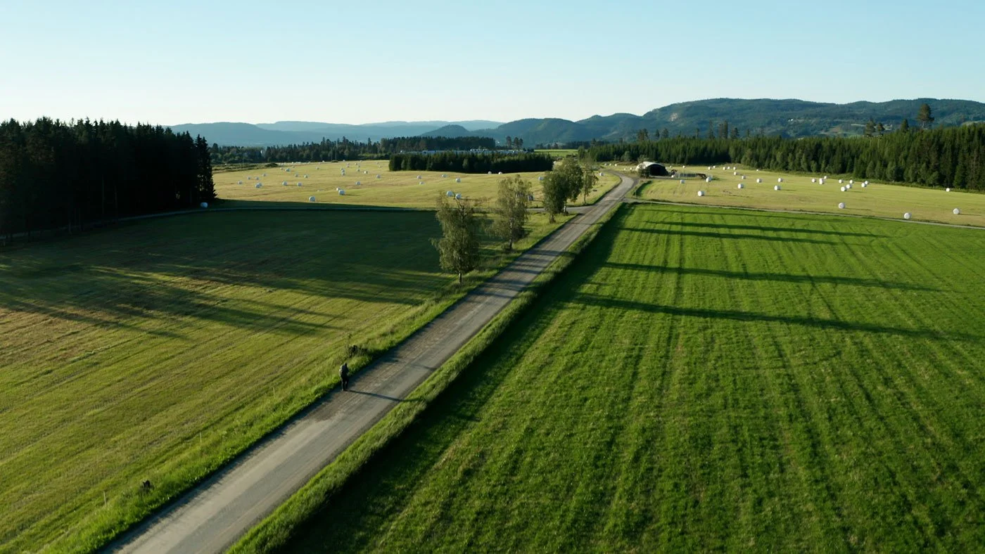 En grønn jordbruksflate med en grusvei som går gjennom landskapet, omgitt av trær og åker, med åsland i bakgrunnen og en person som går langs veien.