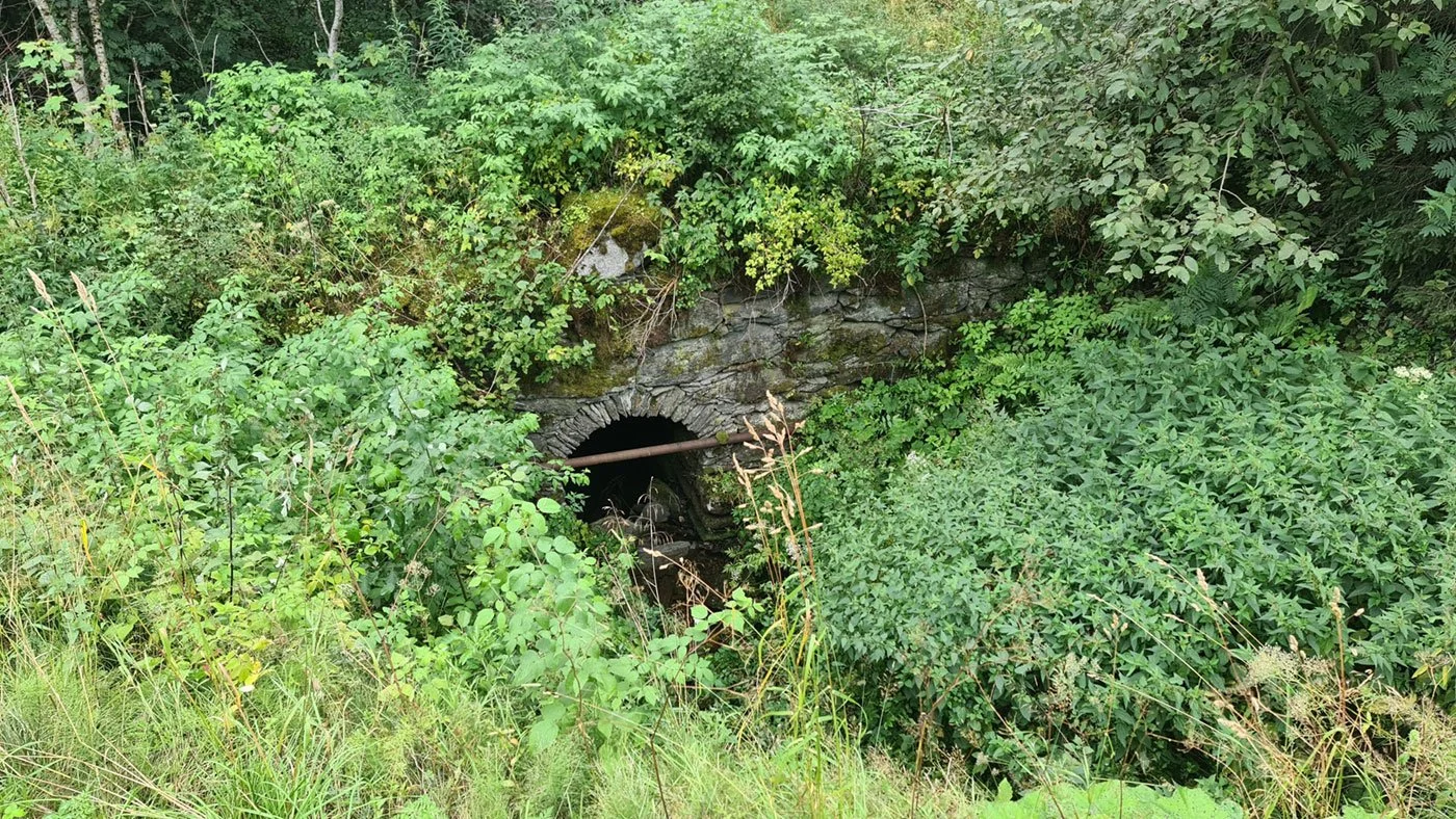 Befaring i Skaun kommune