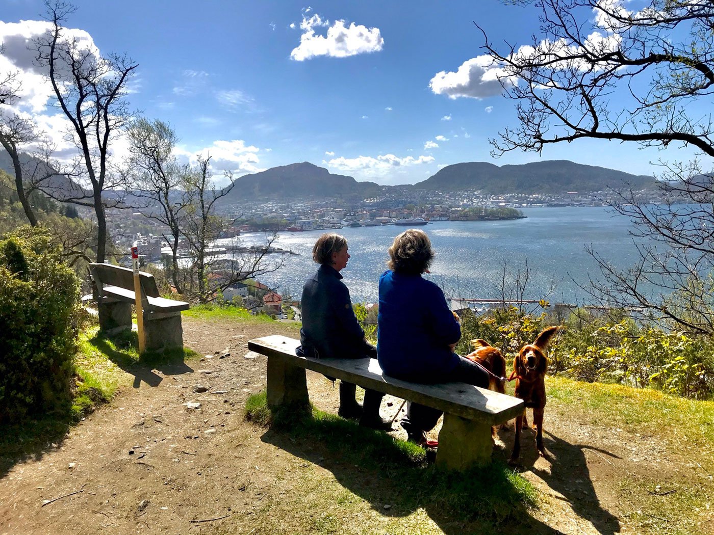To personer som sitter på en benk og nyter utsikten over en innsjø og by med fjell i bakgrunnen på en solrik dag, sammen med en hund.