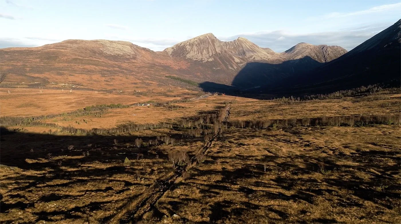 Fjell og åkerlandskap med lave skyer og spredte trær på en grusvei i forgrunnen.