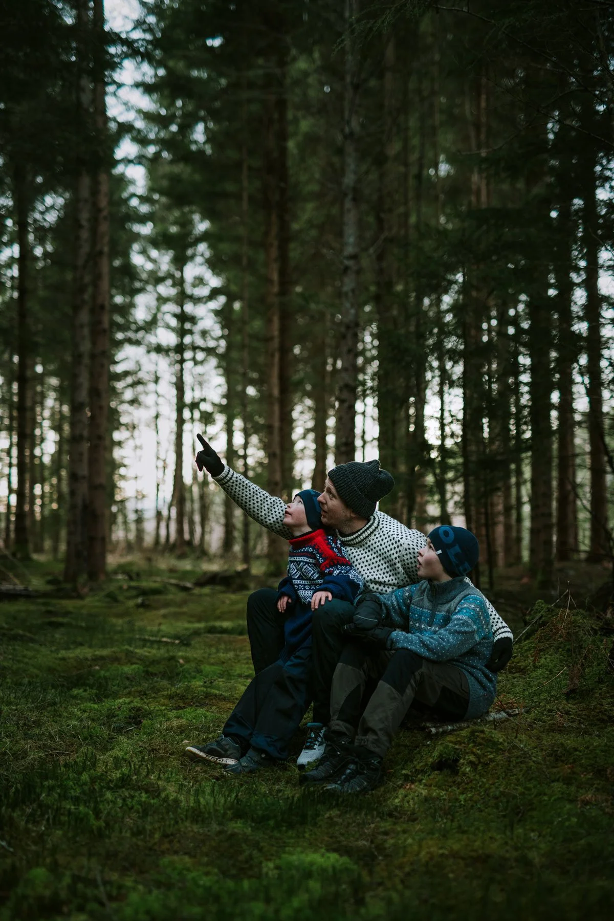 En voksen mann med to barn sitter i en skog og ser opp, der den ene barnet peker mot trærne i tretoppene.
