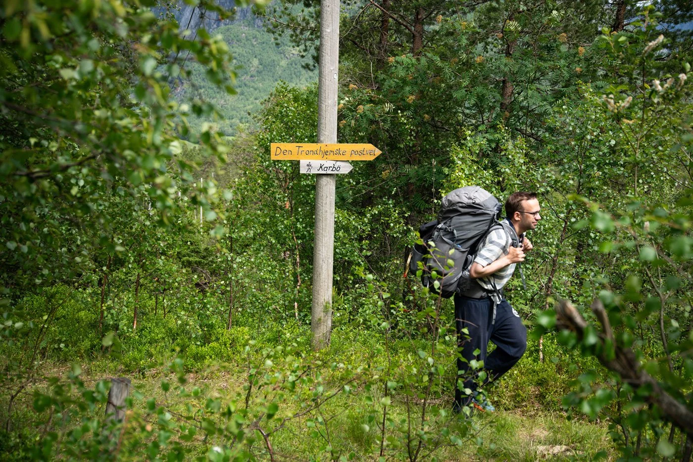 En mann med ryggsekk går langs en skogsvær i Norge. Det er et skilt på en trestamme som peker mot 'Den Trondhjemske postvei' og 'Karbo'.