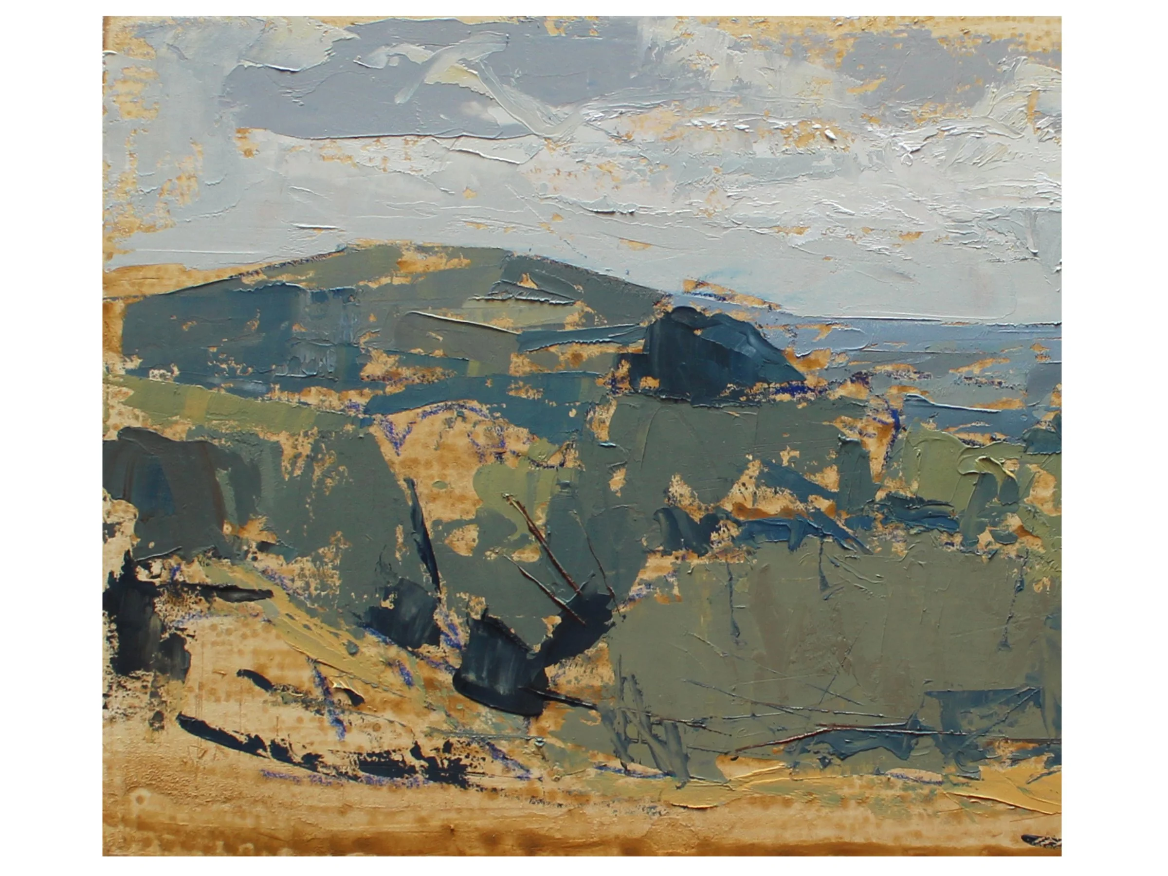 CU Gold Landscape web.jpg