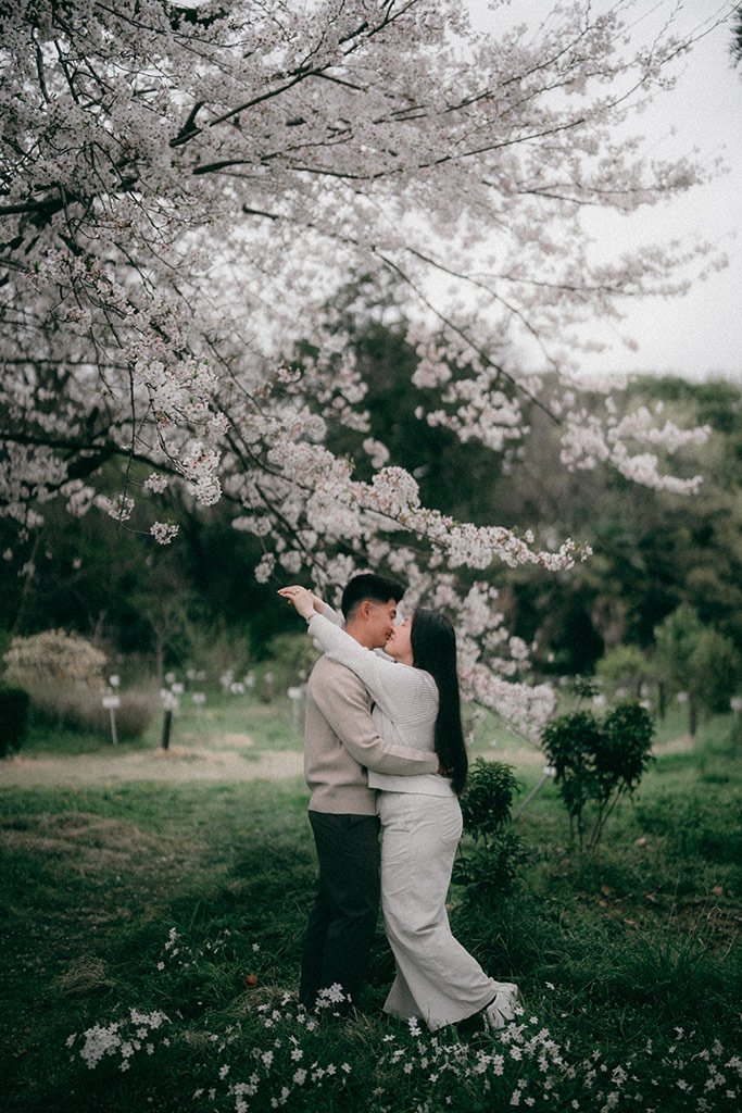 A couple standing close and embracing under a blooming cherry blossom tree in a park.