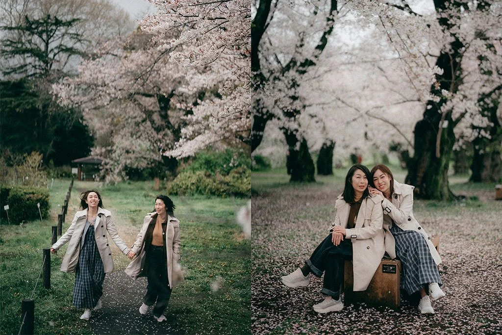Two women walking hand-in-hand along a park path lined with cherry blossom trees and fallen petals, under a soft light.
