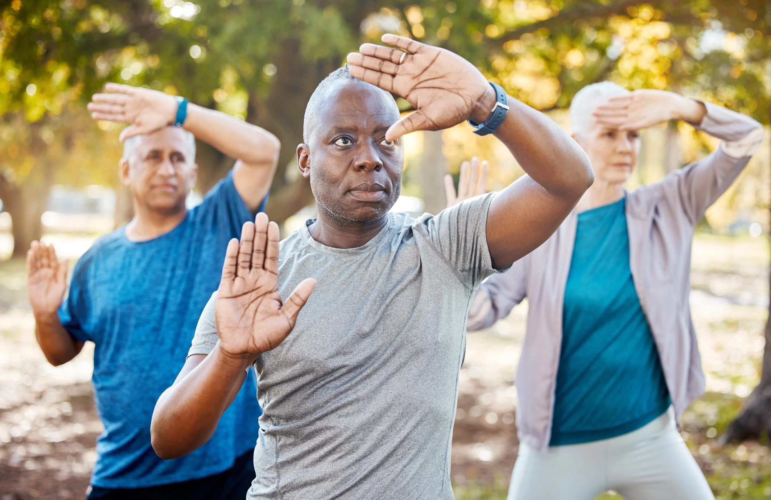 Tai-Chi In the Park
