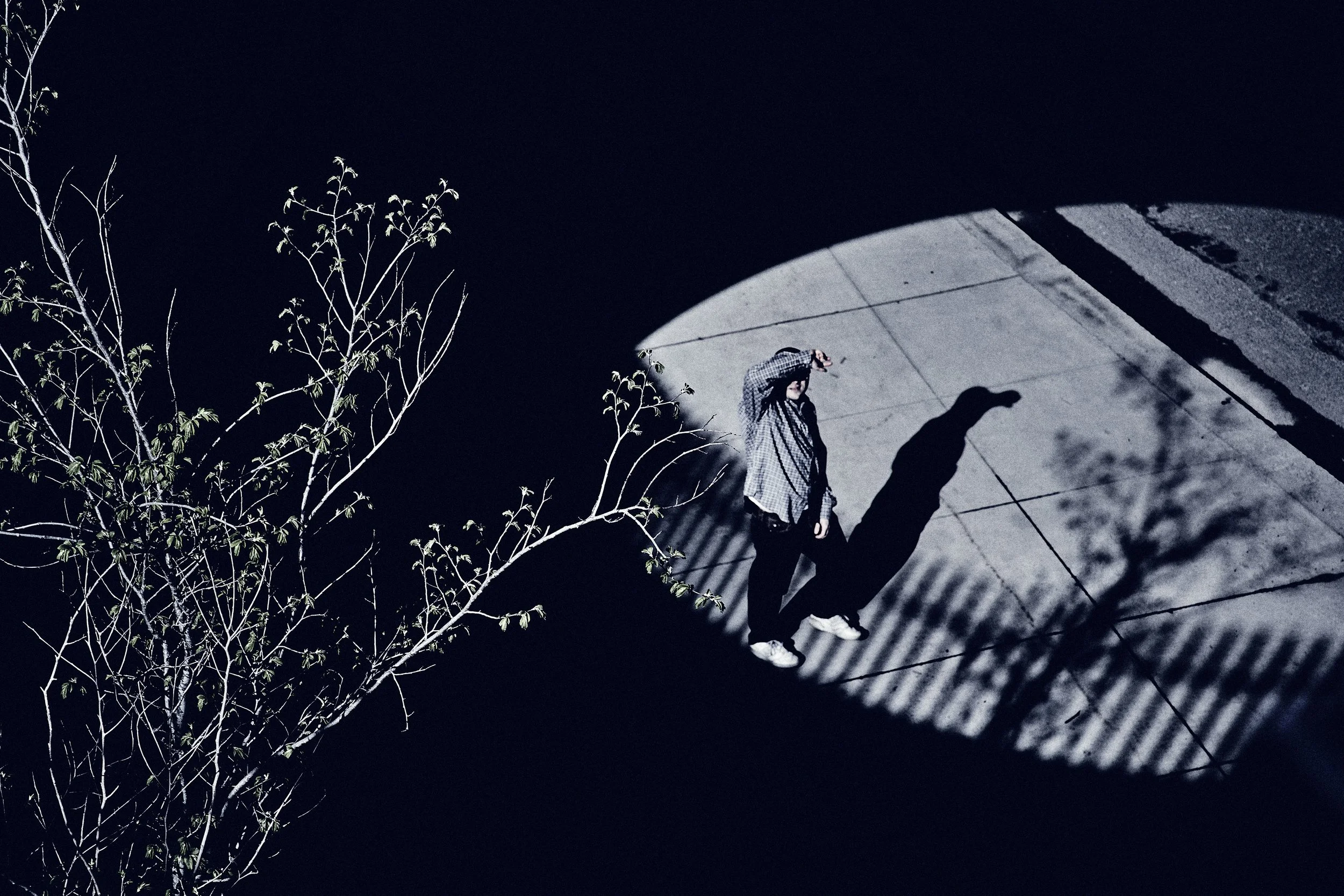 An aerial view of a person walking on a sidewalk at night with a bright spotlight casting shadows. A tree with branches and leaves is visible on the left side of the image.