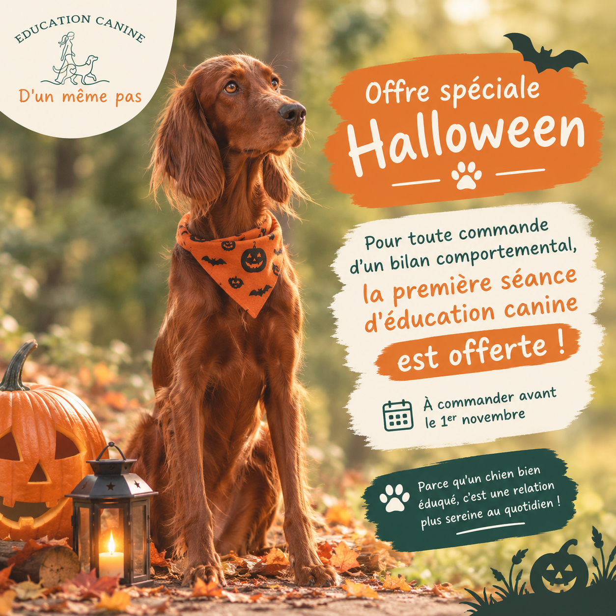 promo d’halloween