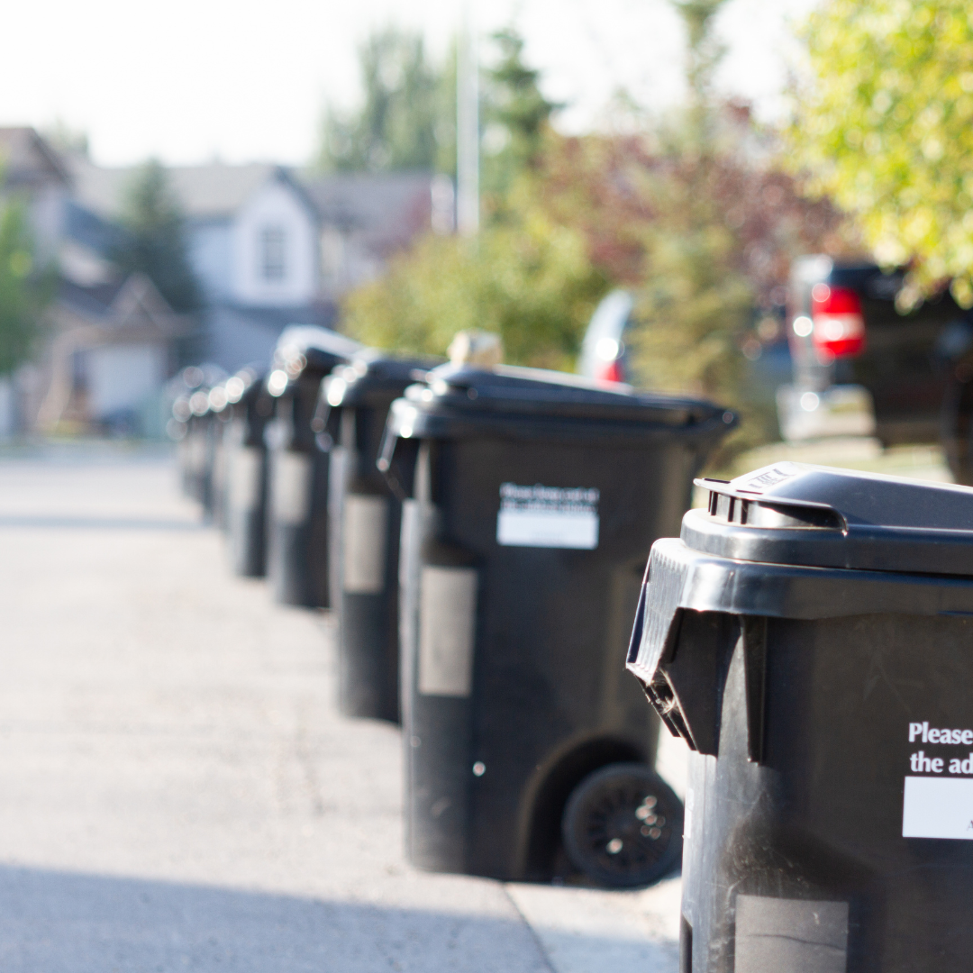 Trash Bin Cleaning