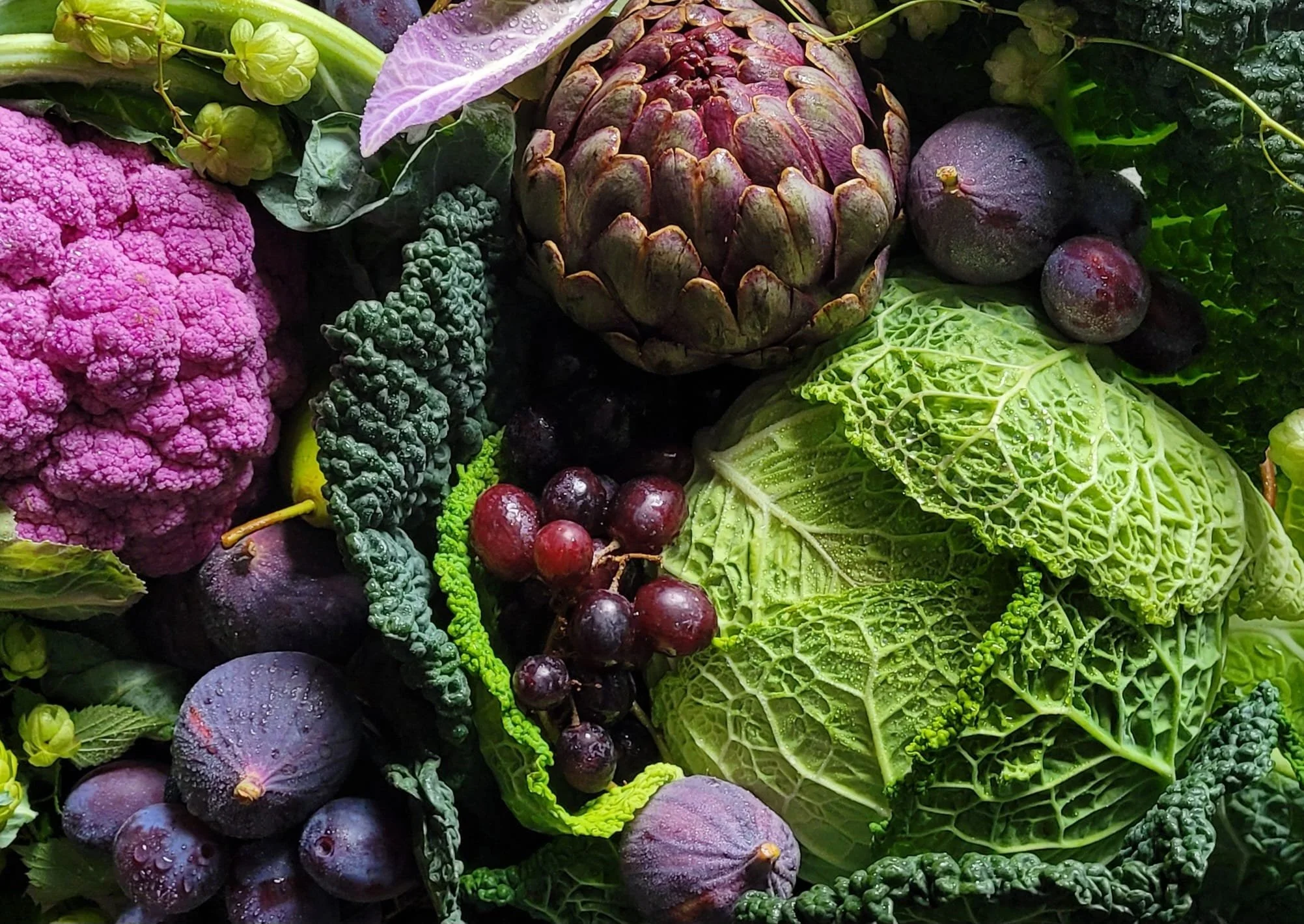 A close-up of various fresh vegetables including purple cauliflower, kale, grapes, artichoke, and leafy greens, all with water droplets on them.