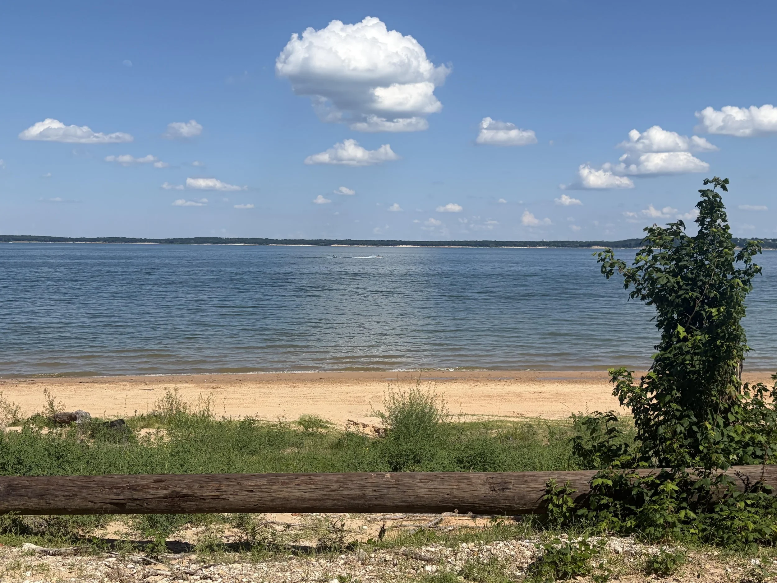 A view of a large body of water with a distant shoreline under a blue sky filled with white fluffy clouds, and some green trees and shrubs in the foreground.