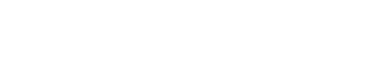 Nueva Vida Traslasierra