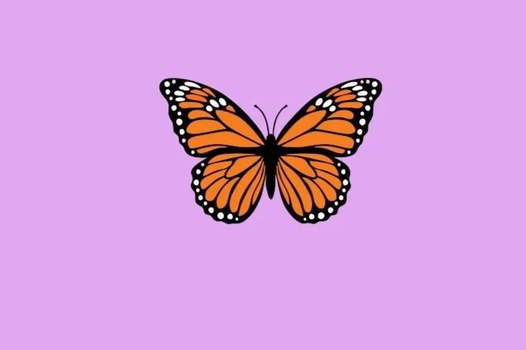 Illustration of a monarch butterfly with orange and black wings on a purple background.