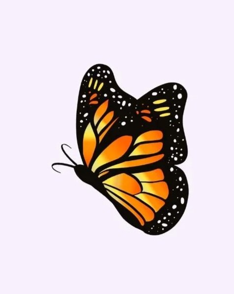 Stylized illustration of a monarch butterfly with black and orange wings on a light background.
