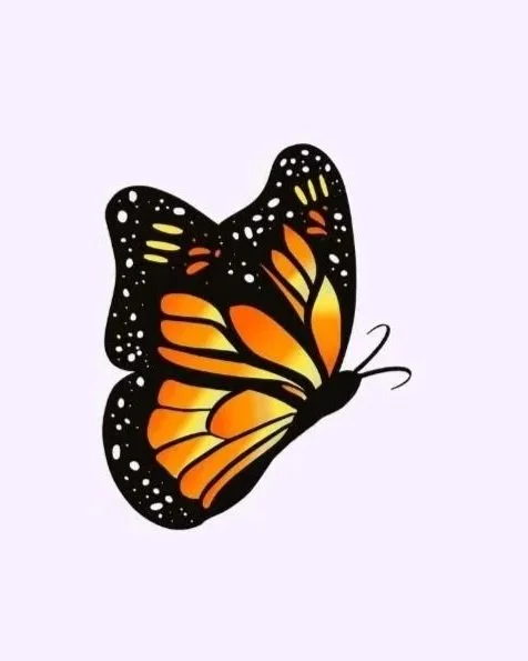 Illustration of a monarch butterfly with orange, black, and white wing patterns.