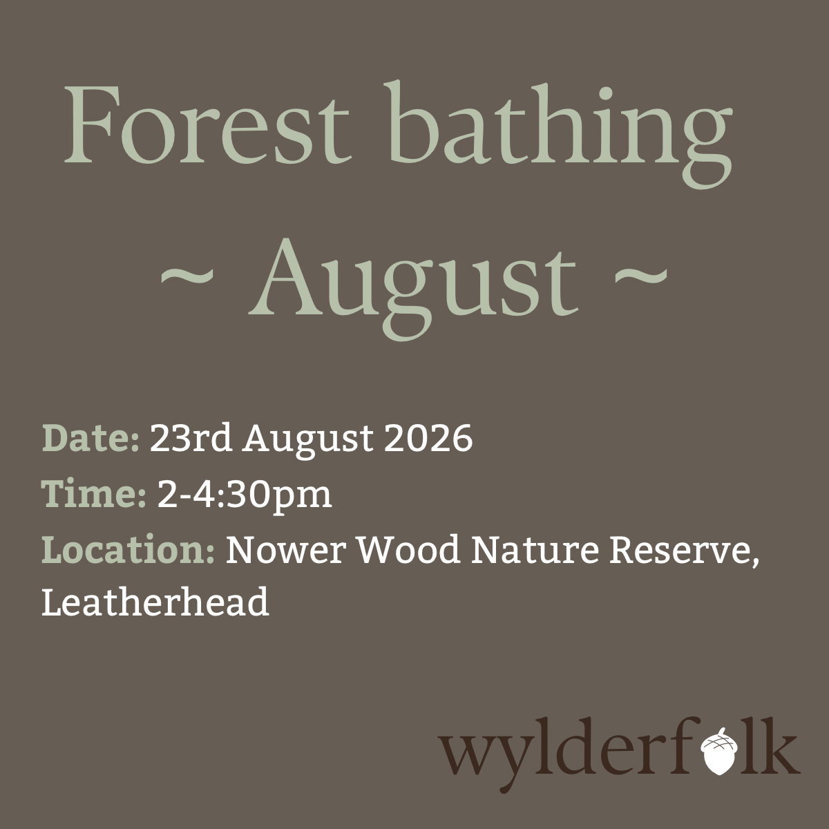 Forest Bathing (Nower Wood, Leatherhead) - August