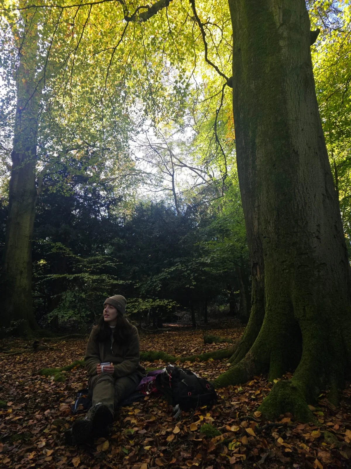 A woman sits on the forest floor covered with fallen leaves, wearing a brown jacket and a beanie, surrounded by tall trees with green and yellow leaves, and backpacks beside her.