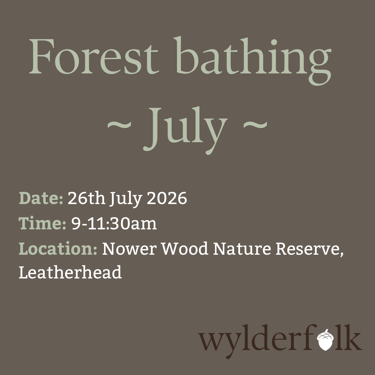 Forest Bathing (Nower Wood, Leatherhead) - July