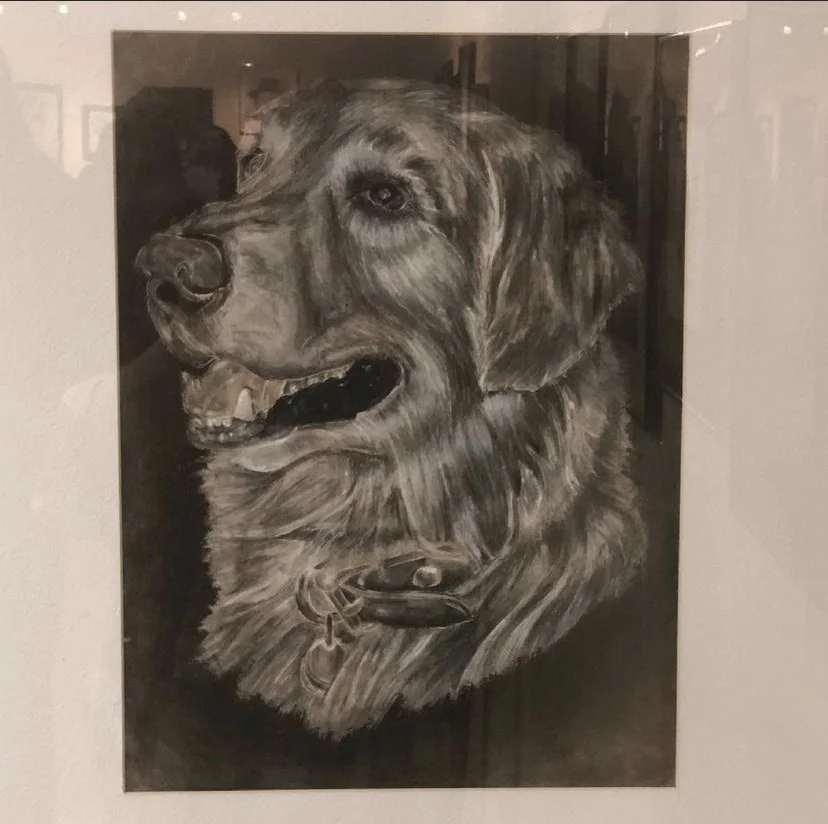 dog cant use to sell julie.jpeg