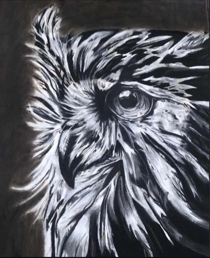 charcoal owl julie.jpeg