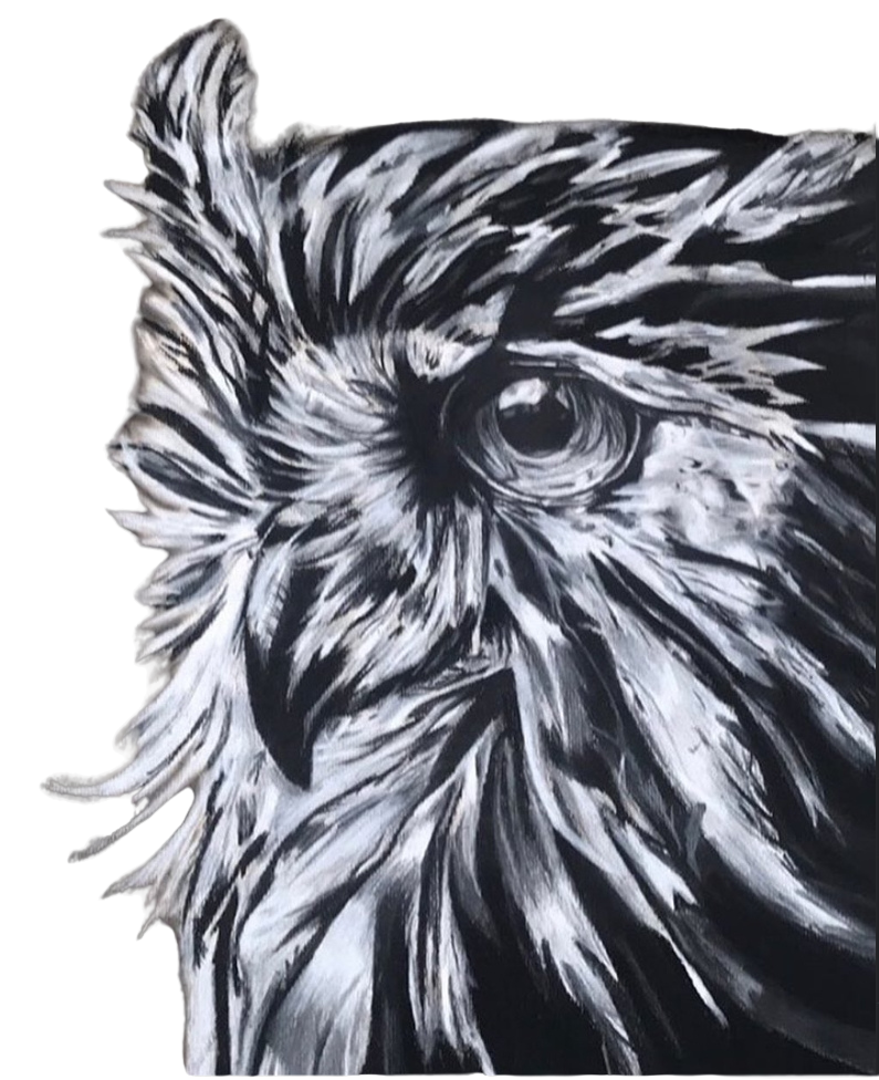 Charcoal Owl Art Print
