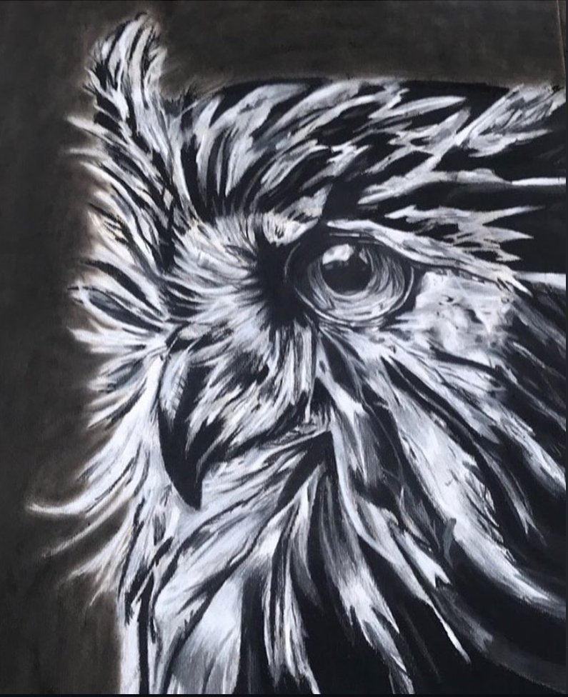 charcoal owl julie.jpeg