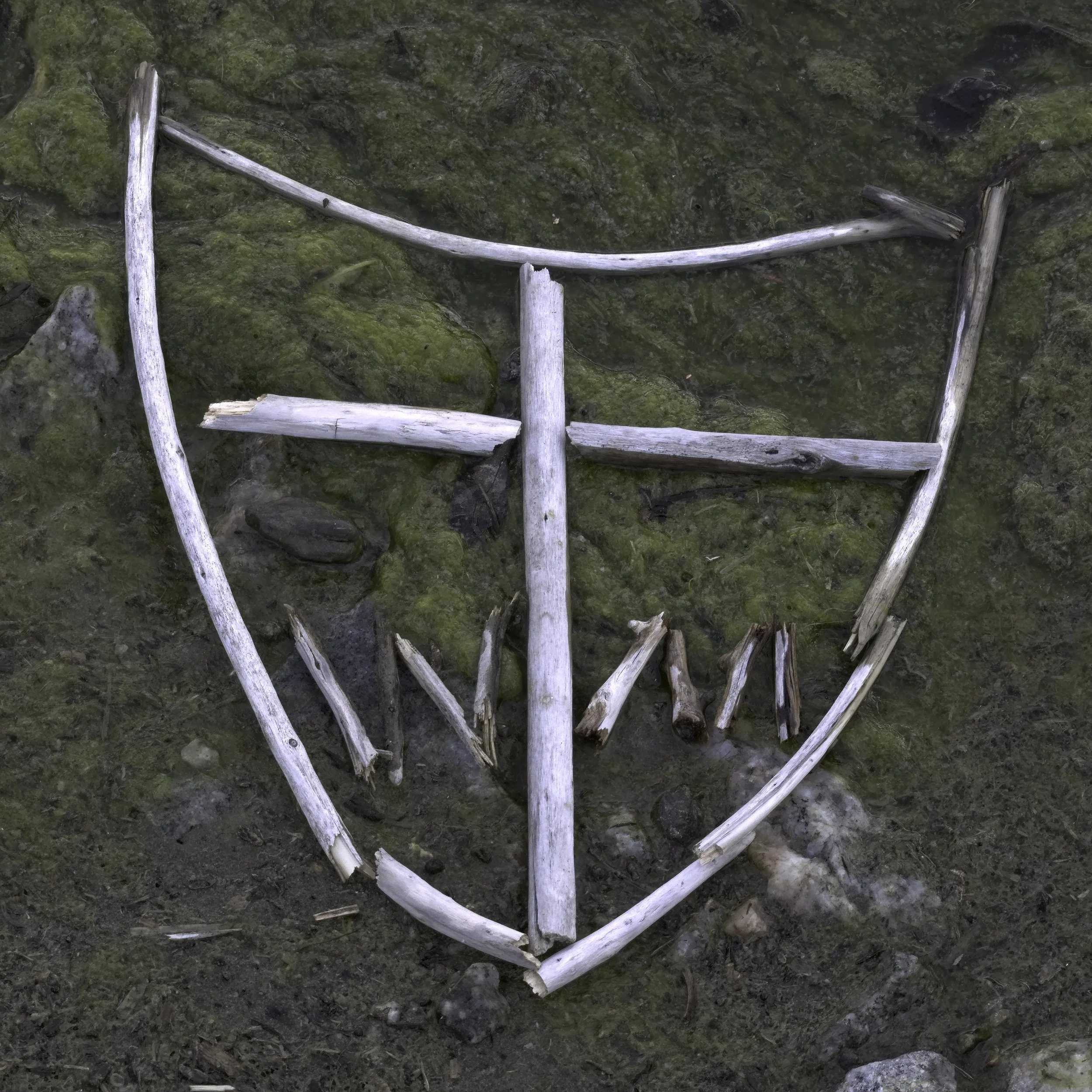 Within the Mask Creative logo composed of driftwood and set on a base of algae on the edge of a shore littered with stones and a bae of sand.