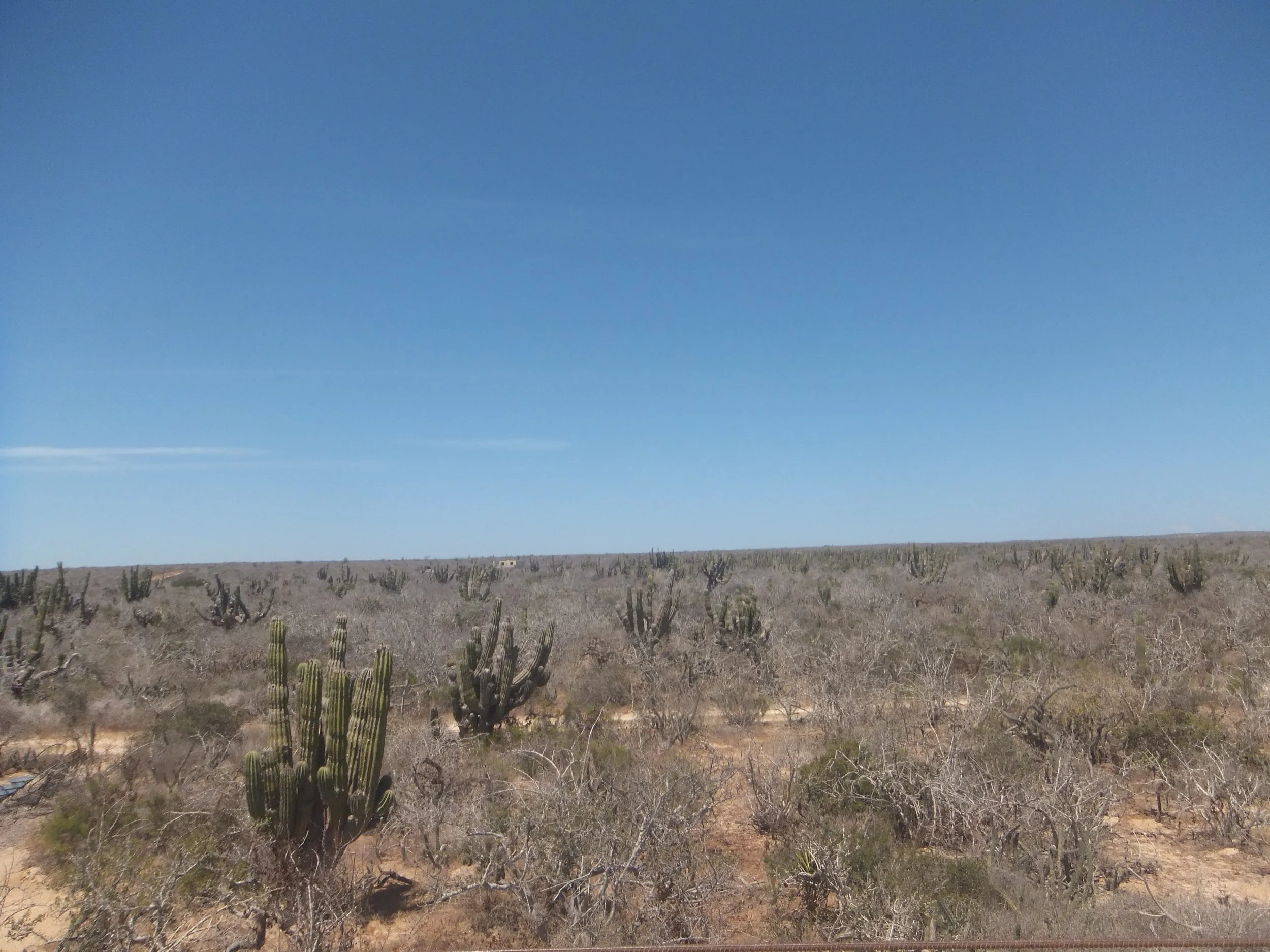 DSCF3433.JPG