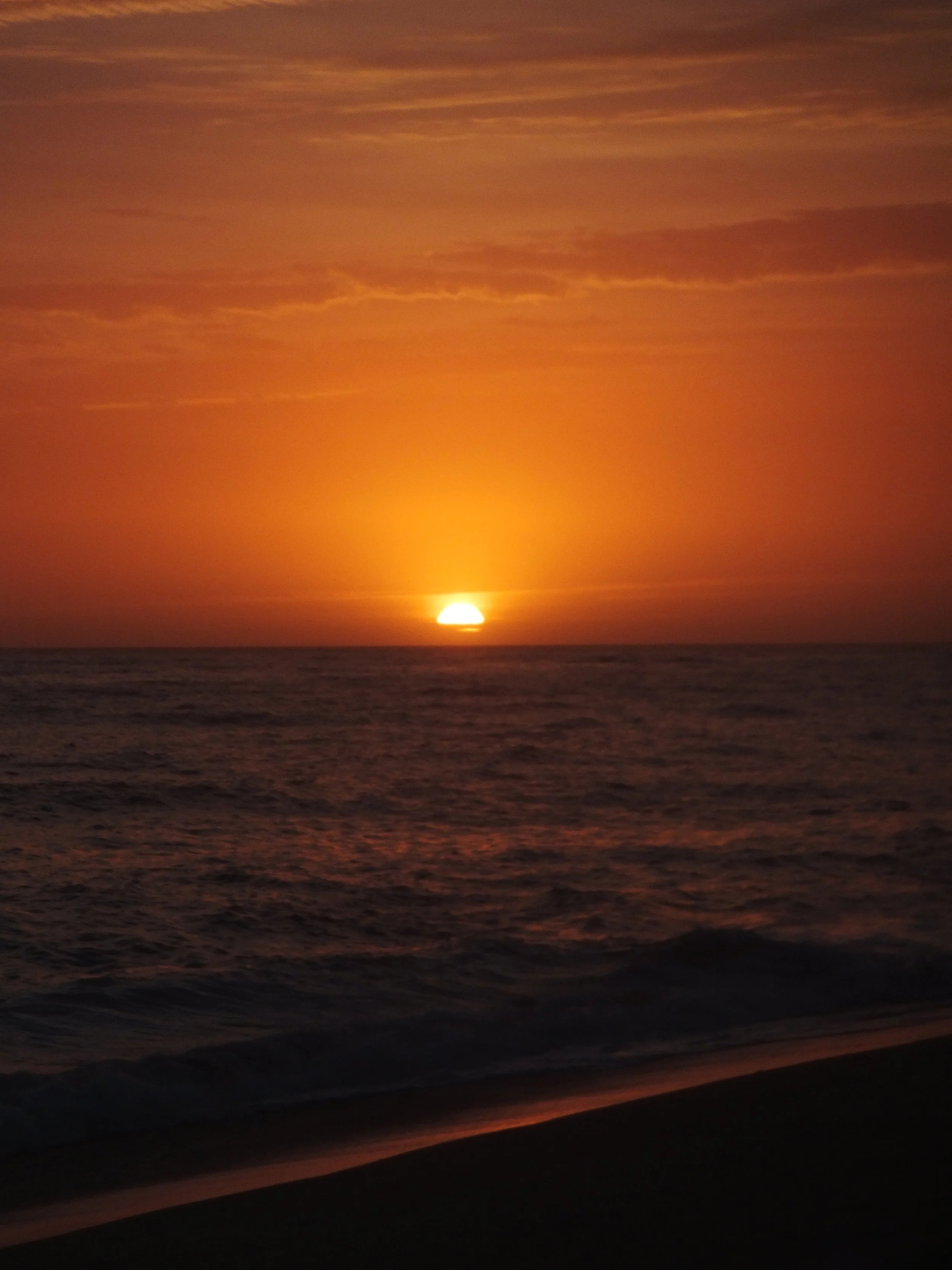 DSCF3499.JPG