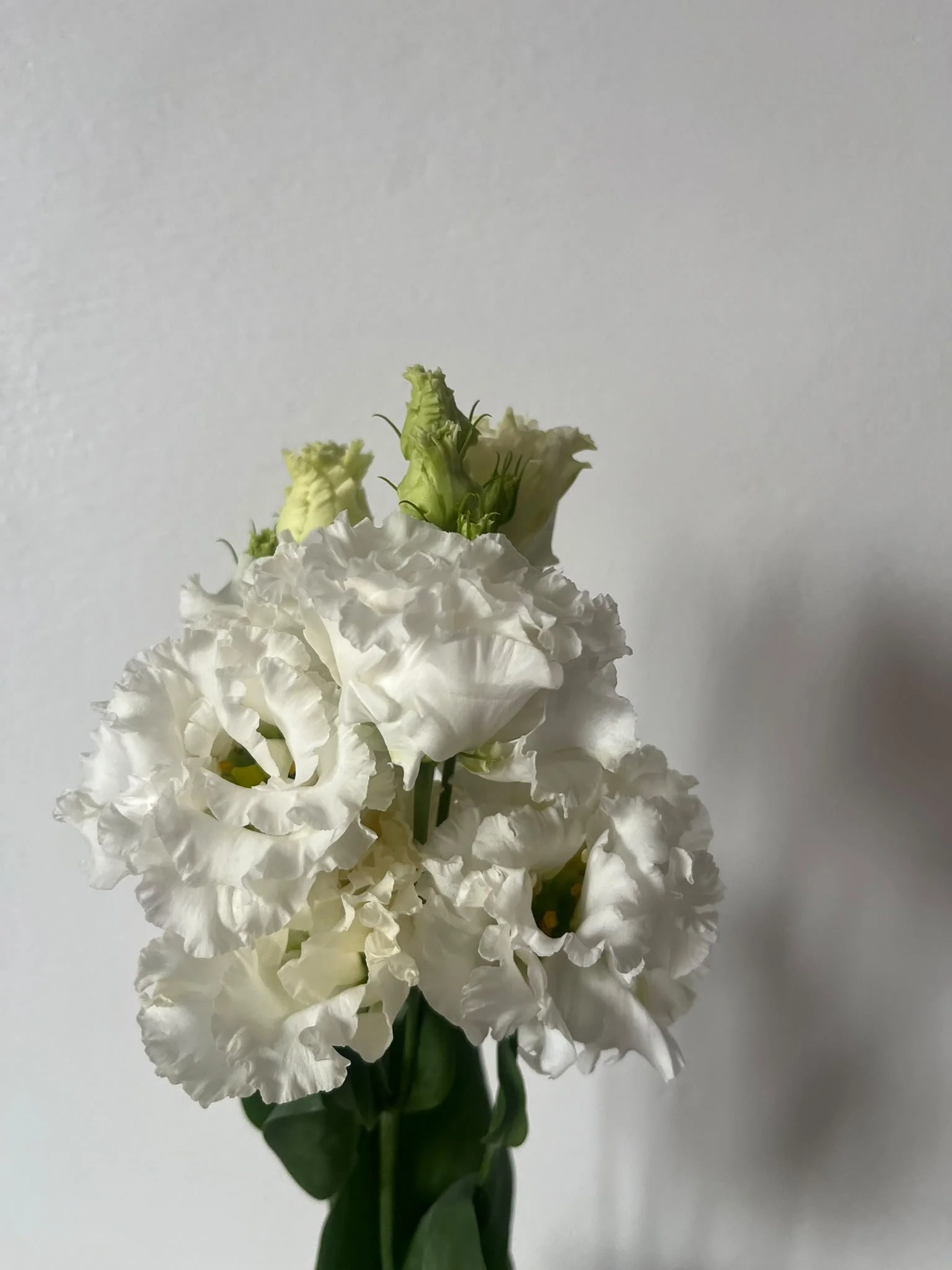 How to Make Your Flowers Last Longer Without Doing Anything Weird