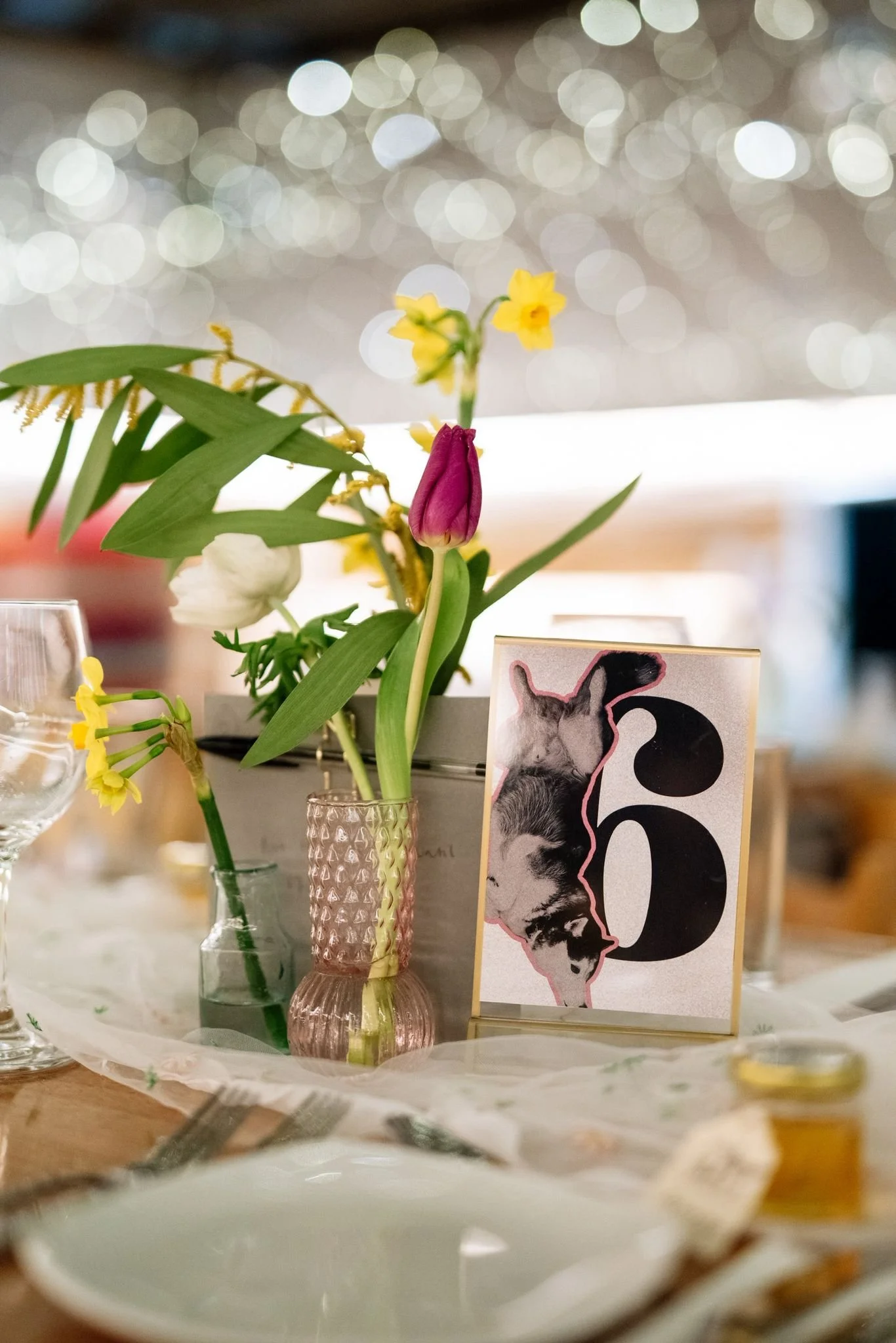 A small pink tulip in a clear glass vase surrounded by yellow flowers and green leaves, with a picture of a dog and a large number 6 on a card, set on a table with a white tablecloth and blurred background with bokeh lights.