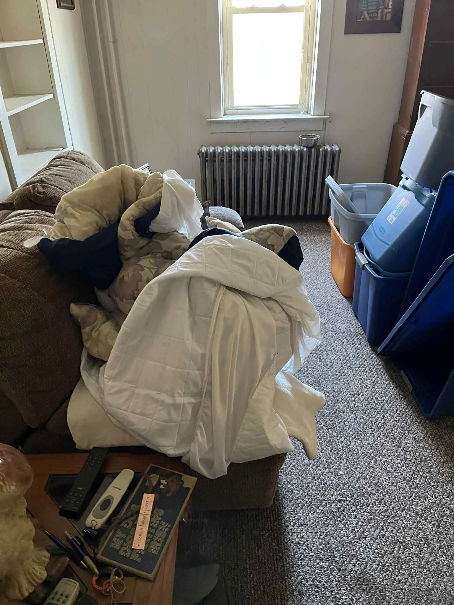 Before Cleanout