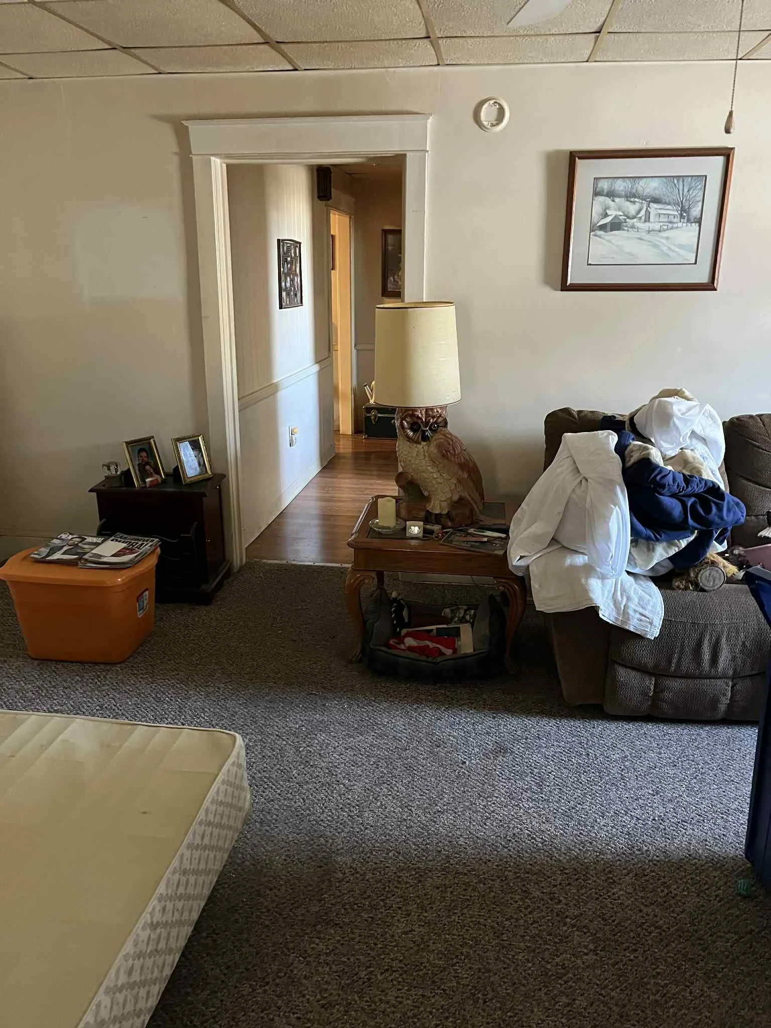 Before Cleanout