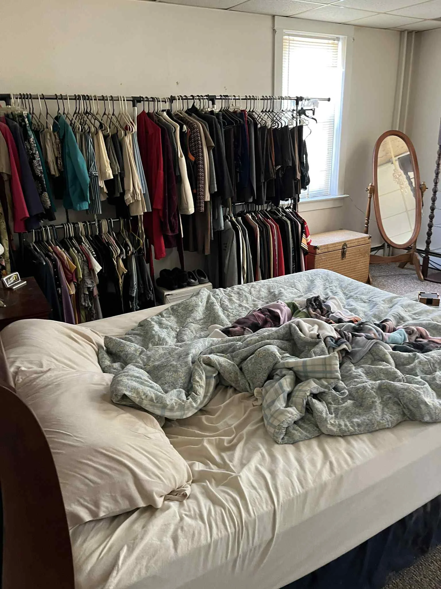Before Cleanout
